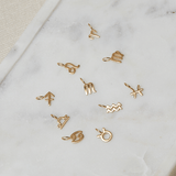 Zodiac Charm