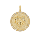 Diamond Zodiac Coin Medallion Charm