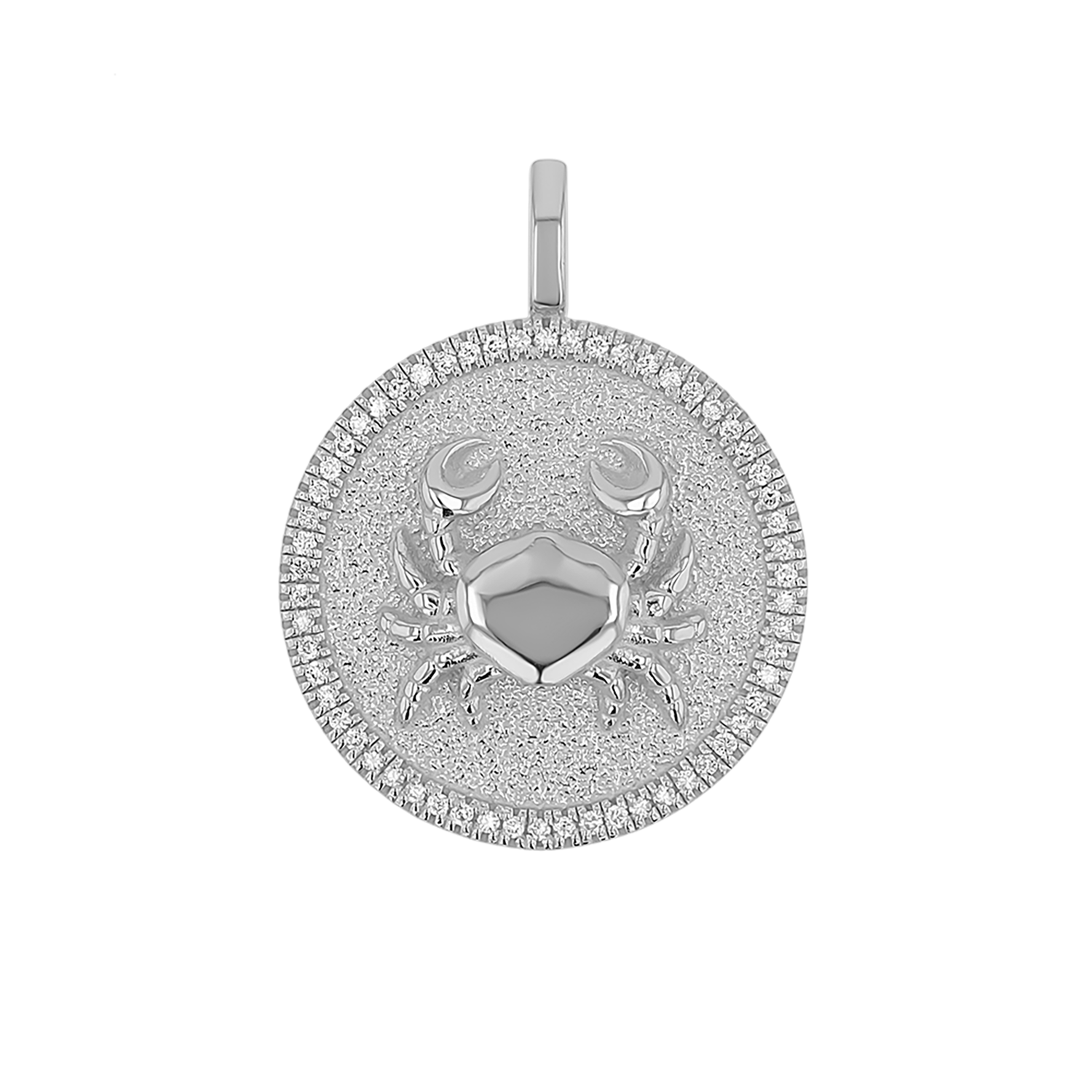 Diamond Zodiac Coin Medallion Charm
