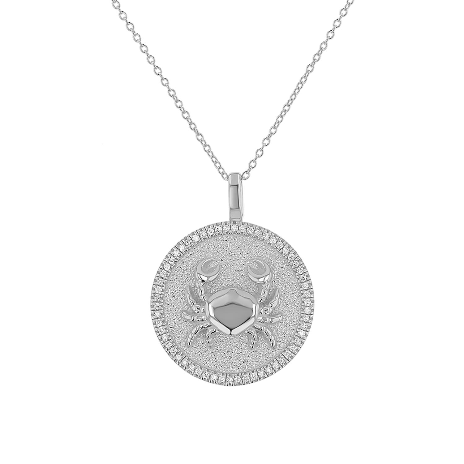 Diamond Zodiac Coin Medallion Necklace