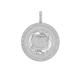 Diamond Zodiac Coin Medallion Charm