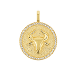 Diamond Zodiac Coin Medallion Charm