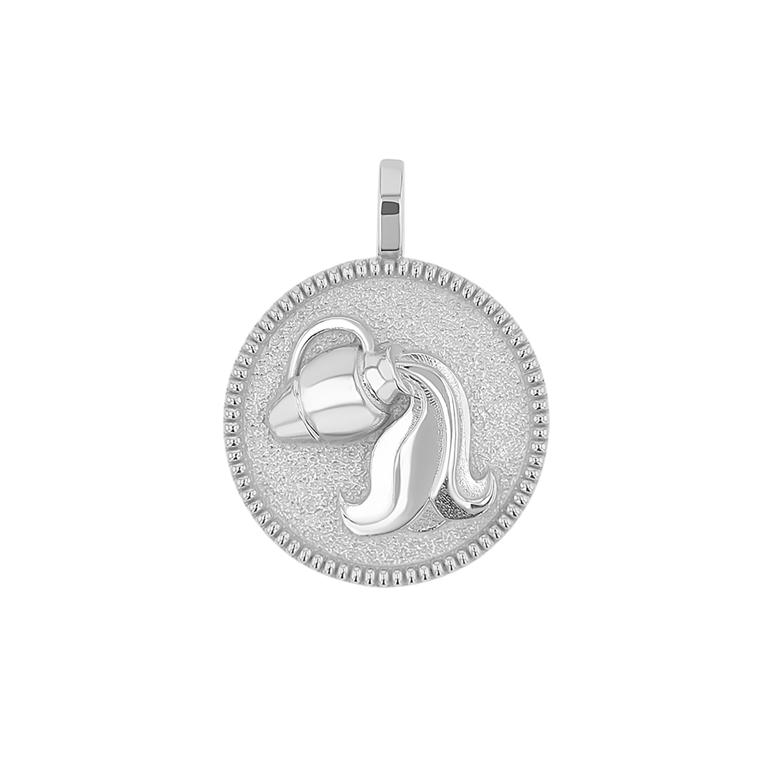 Zodiac Coin Medallion Charm