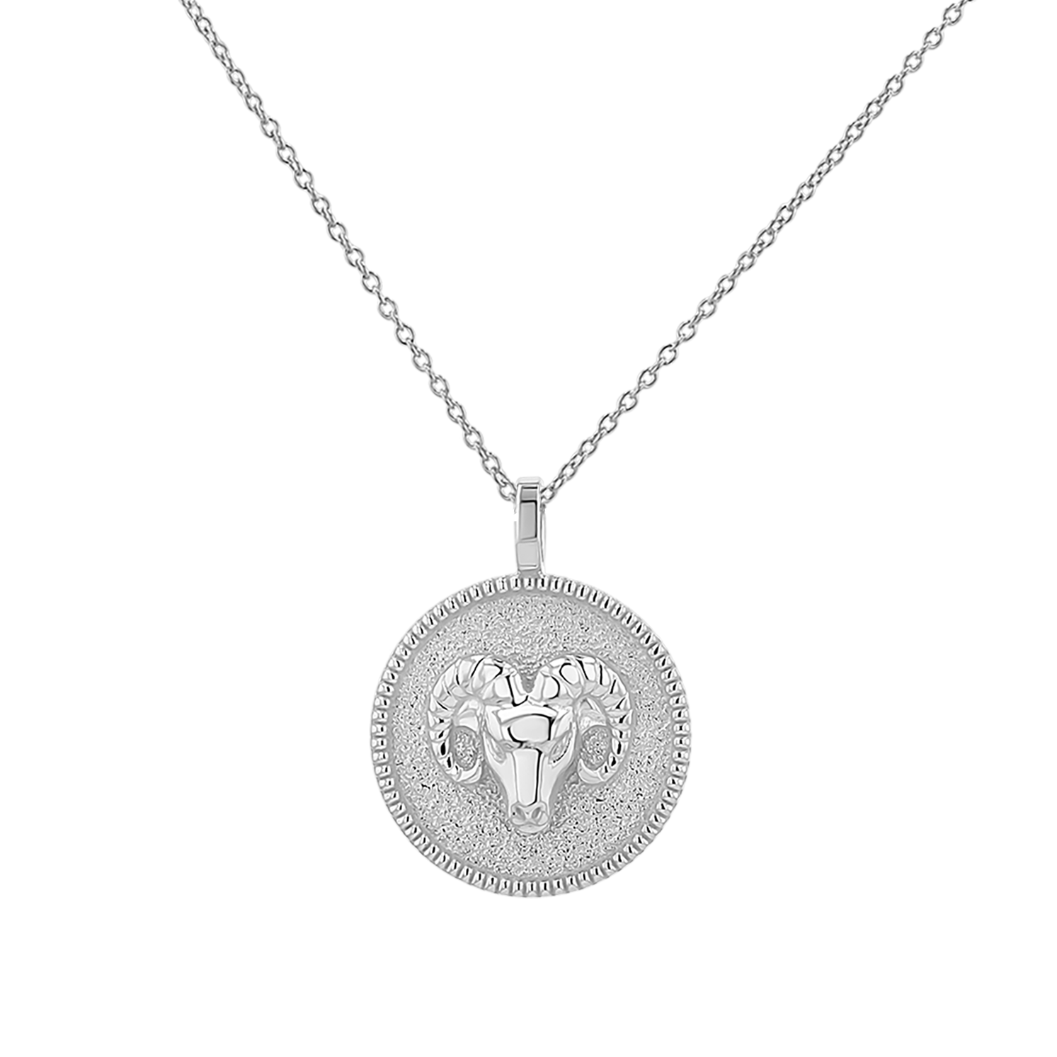 Zodiac Coin Medallion Necklace