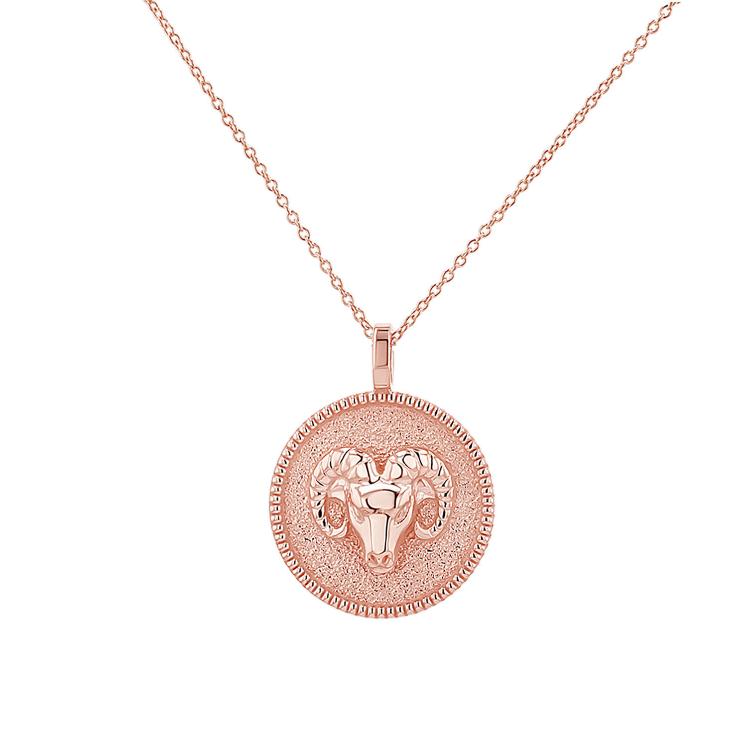 Zodiac Coin Medallion Necklace