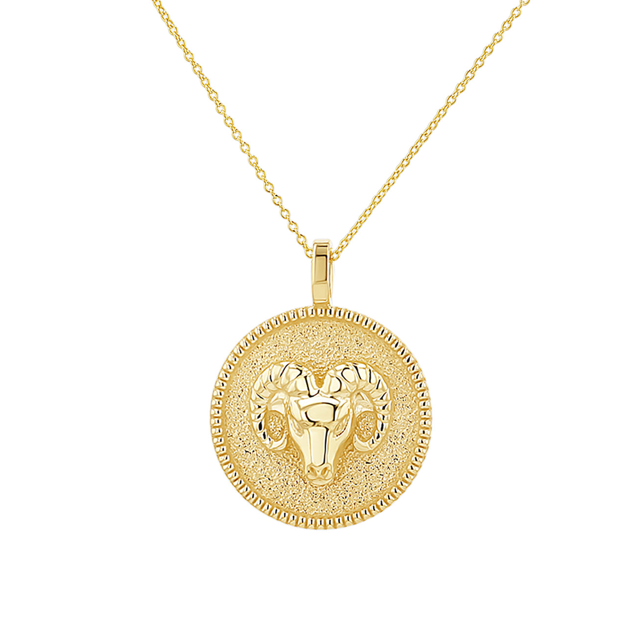Zodiac Coin Medallion Necklace
