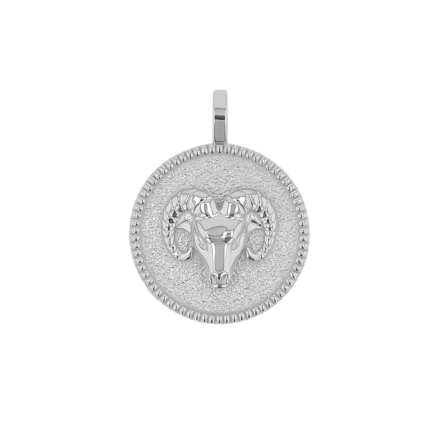 Zodiac Coin Medallion Charm