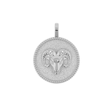 Zodiac Coin Medallion Charm