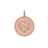 Zodiac Coin Medallion Charm