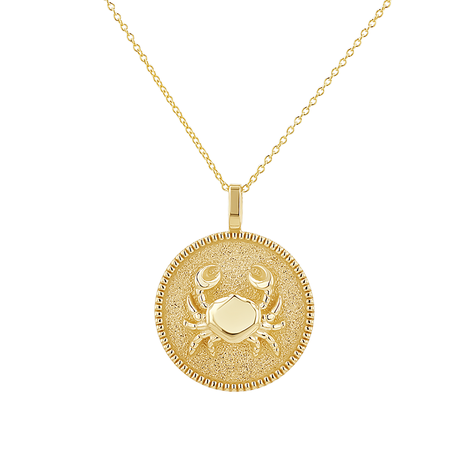 Zodiac Coin Medallion Necklace