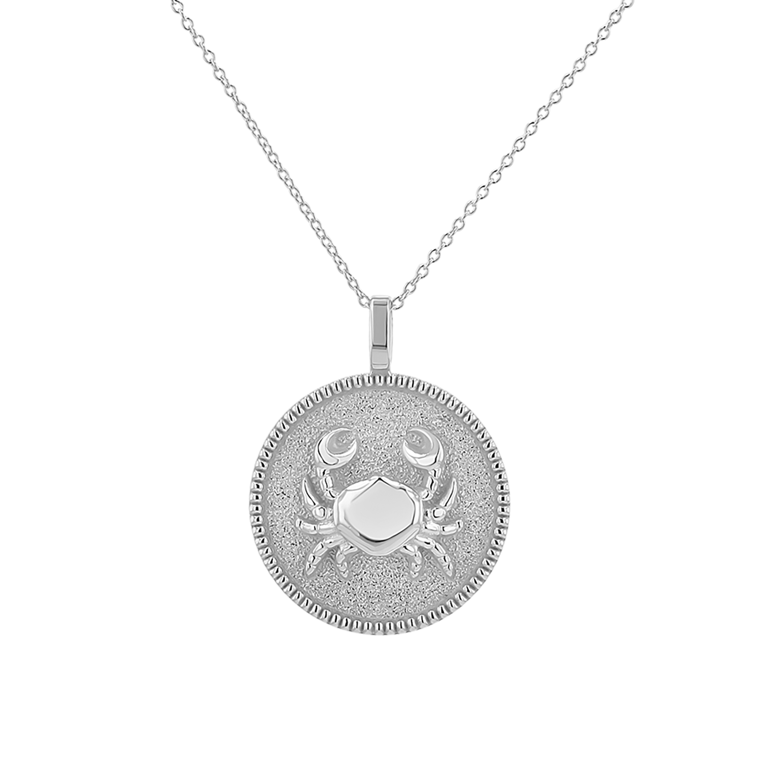 Zodiac Coin Medallion Necklace
