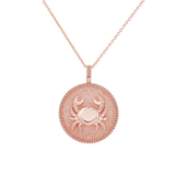 Zodiac Coin Medallion Necklace