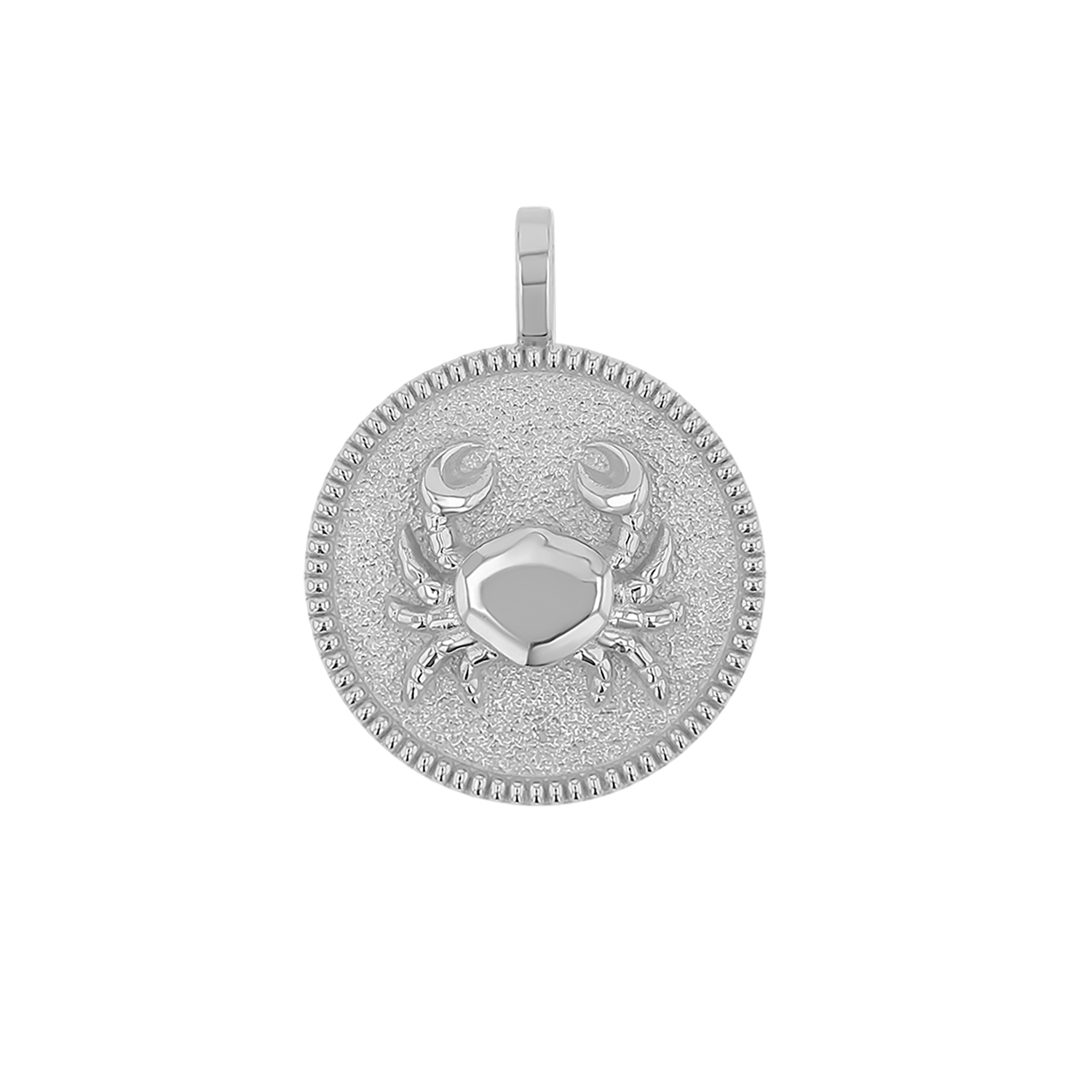 Zodiac Coin Medallion Charm