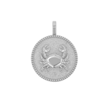 Zodiac Coin Medallion Charm