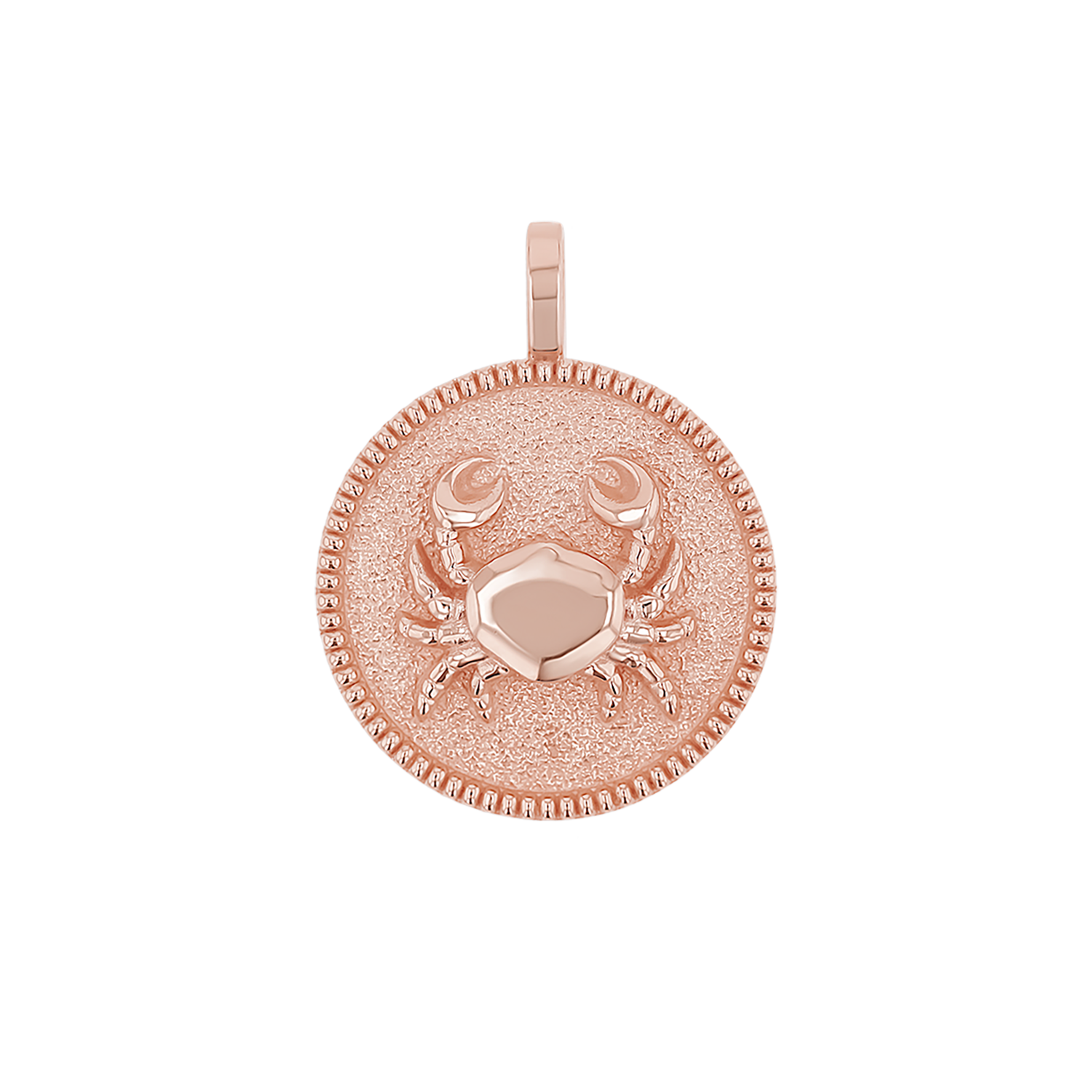 Zodiac Coin Medallion Charm