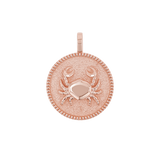 Zodiac Coin Medallion Charm