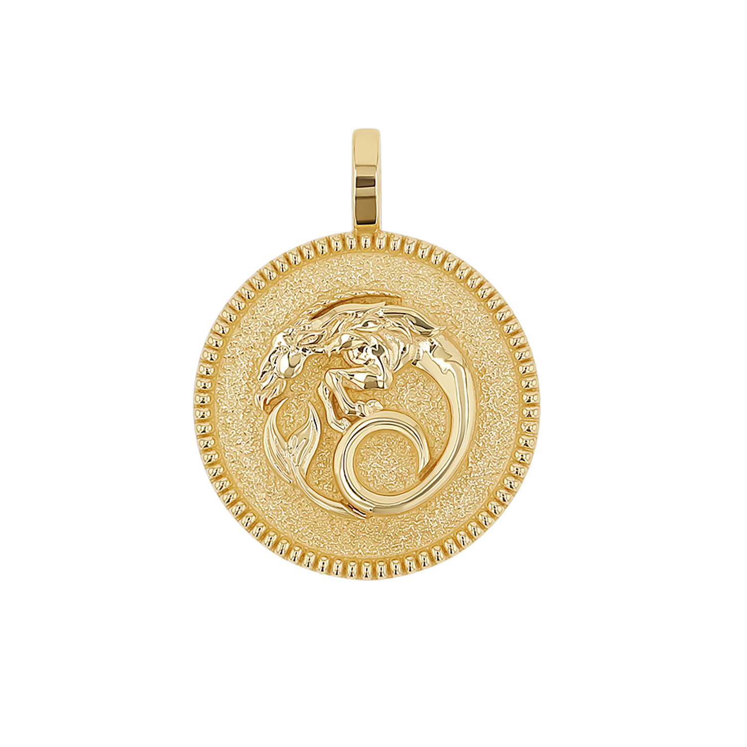 Zodiac Coin Medallion Charm