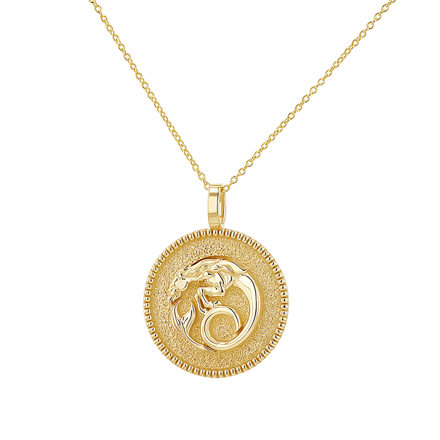 Zodiac Coin Medallion Necklace