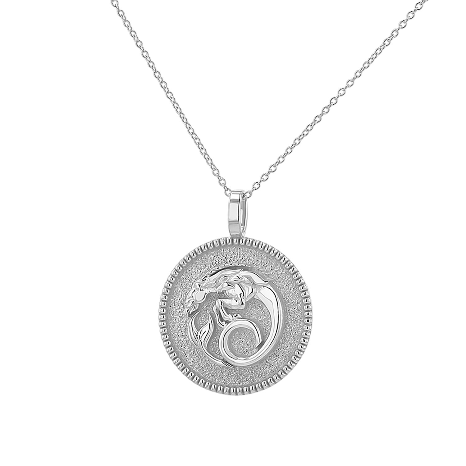 Zodiac Coin Medallion Necklace