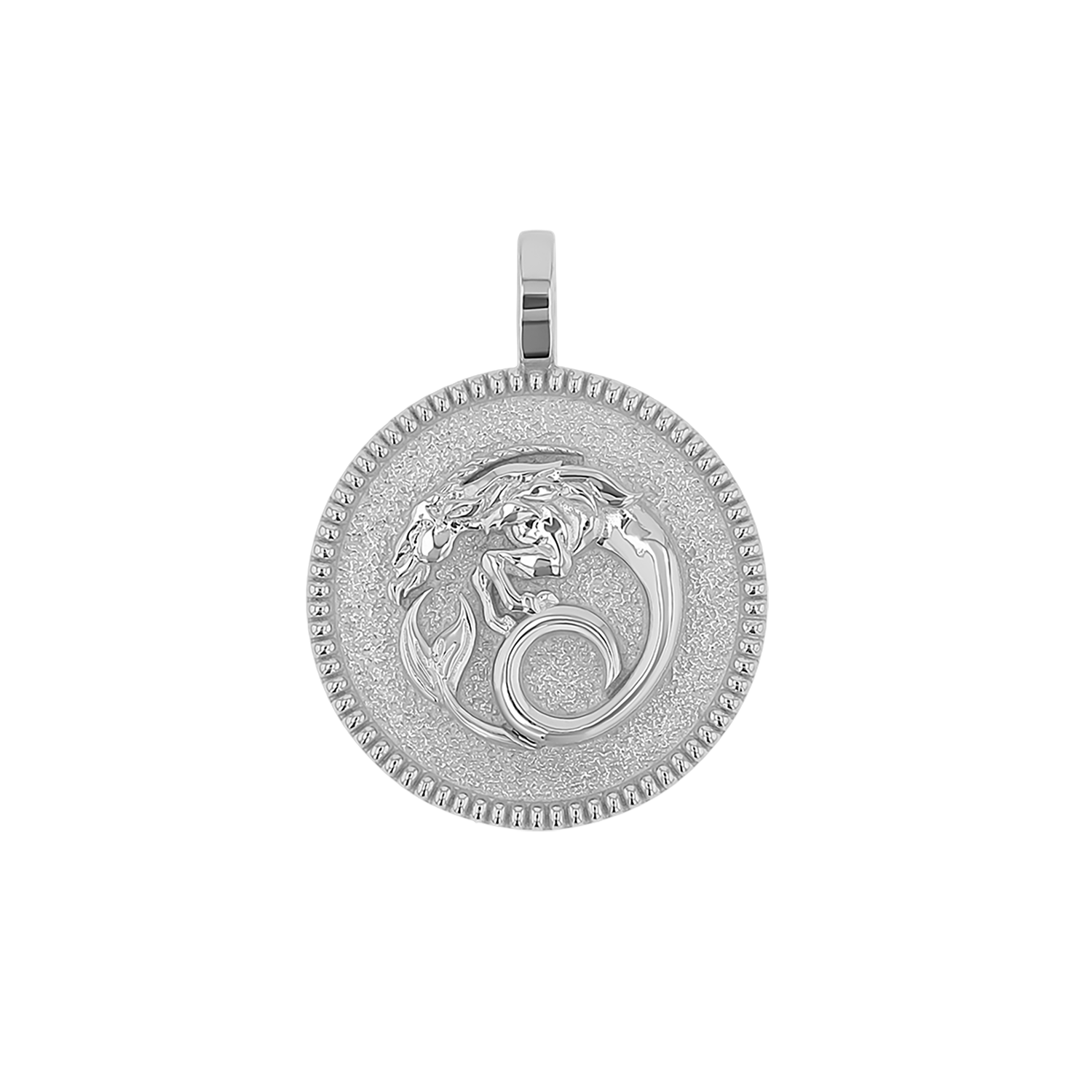 Zodiac Coin Medallion Charm