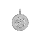 Zodiac Coin Medallion Charm