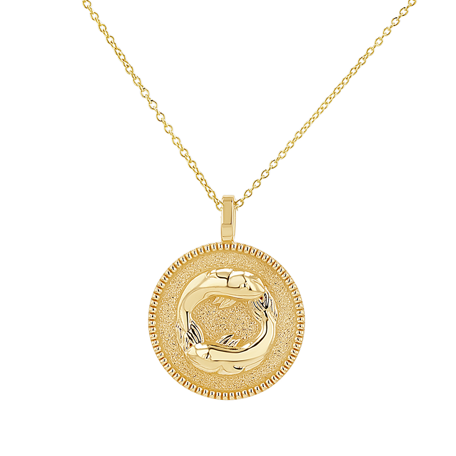 Zodiac Coin Medallion Necklace