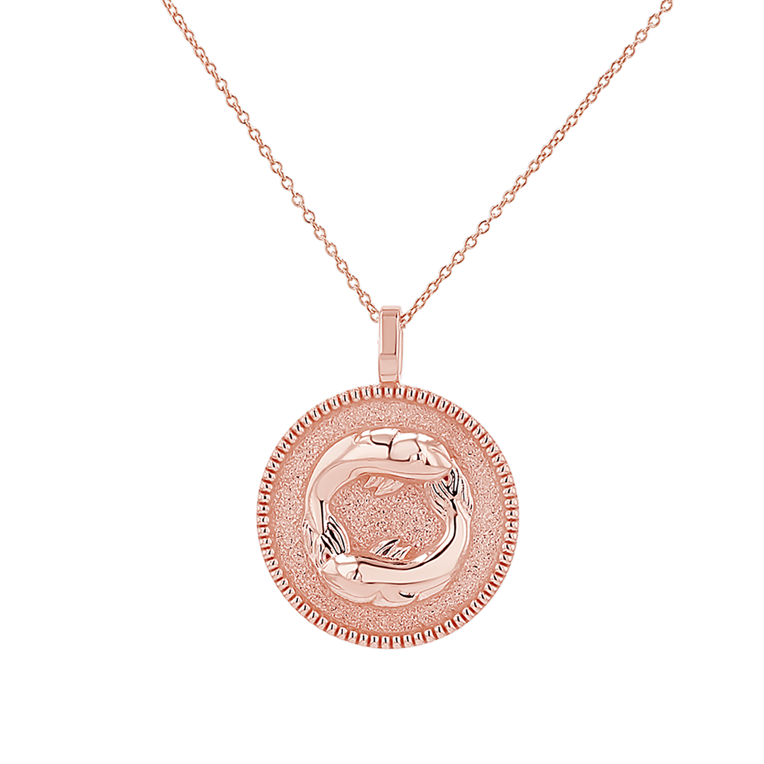 Zodiac Coin Medallion Necklace