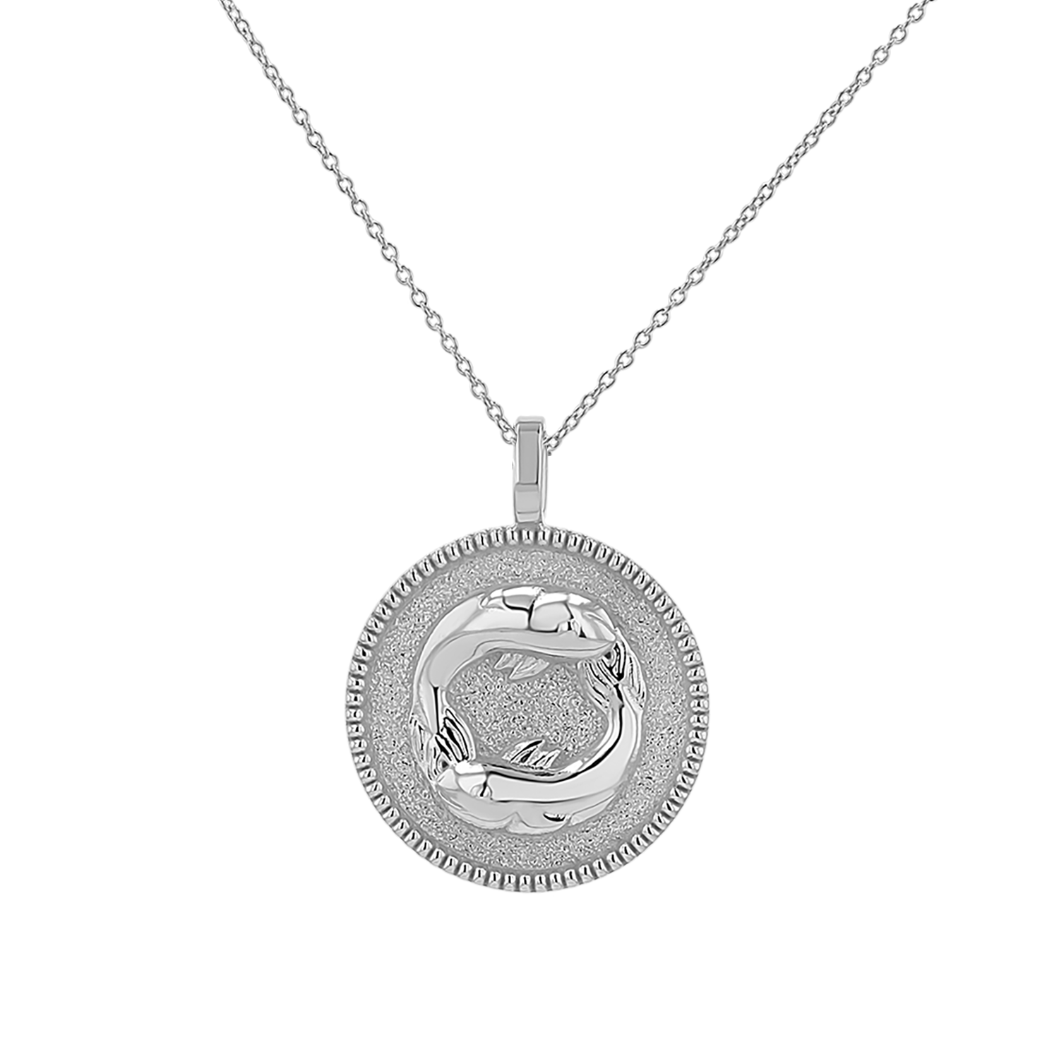 Zodiac Coin Medallion Necklace
