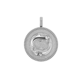 Zodiac Coin Medallion Charm