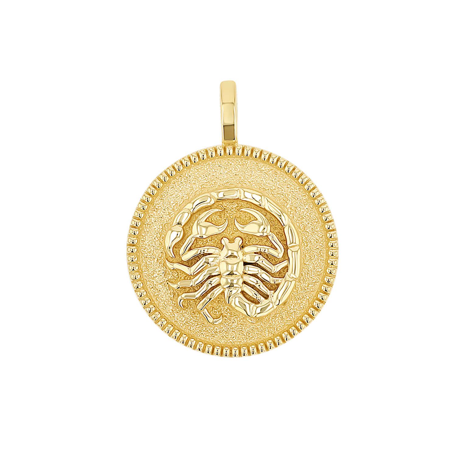 Zodiac Coin Medallion Charm