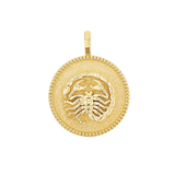 Zodiac Coin Medallion Charm