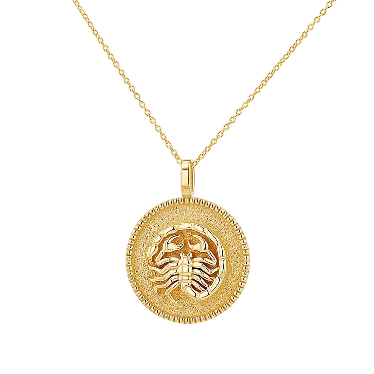 Zodiac Coin Medallion Necklace