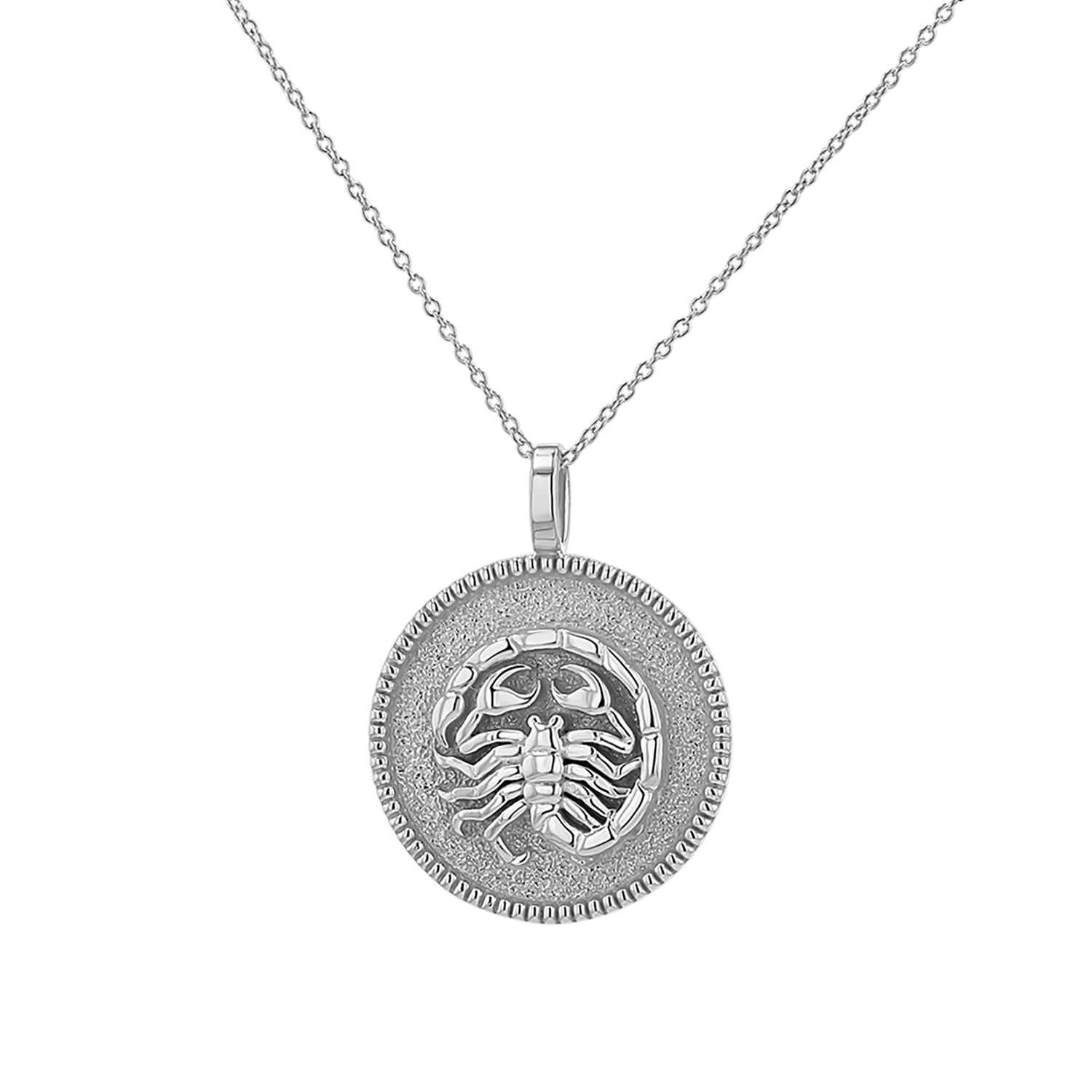 Zodiac Coin Medallion Necklace