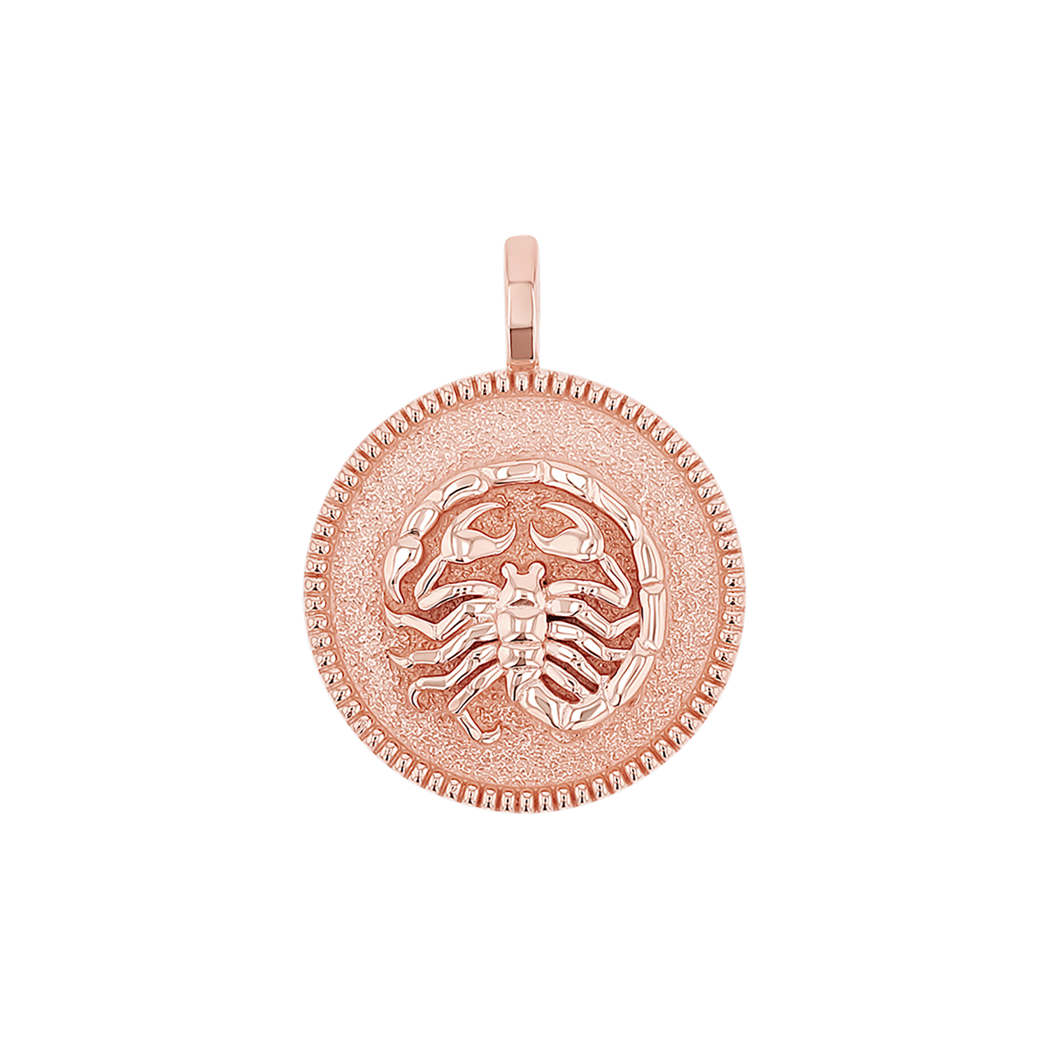 Zodiac Coin Medallion Charm