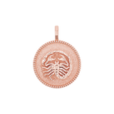 Zodiac Coin Medallion Charm