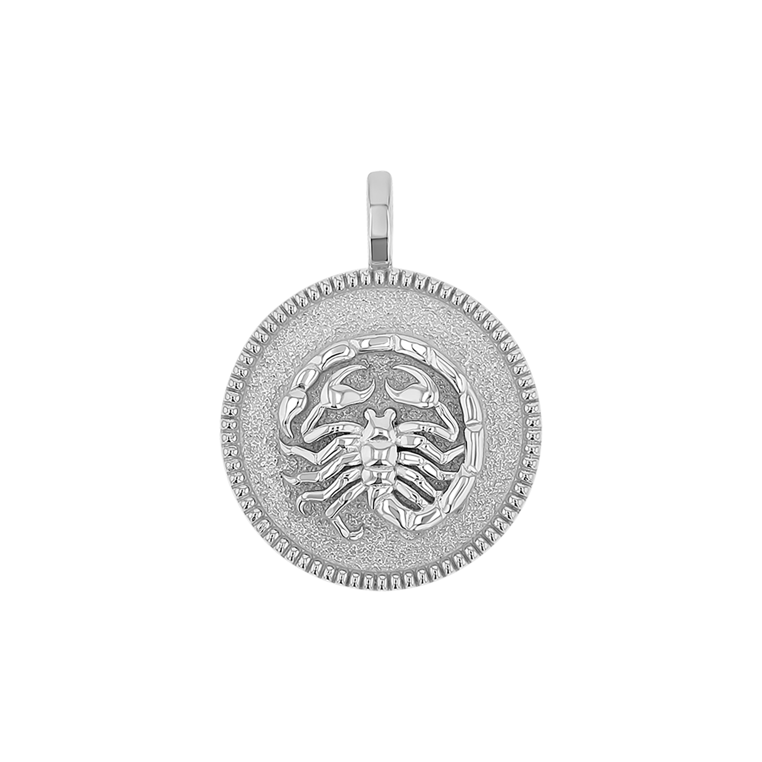 Zodiac Coin Medallion Charm