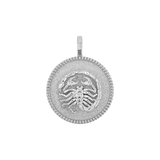 Zodiac Coin Medallion Charm