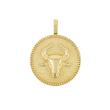 Zodiac Coin Medallion Charm