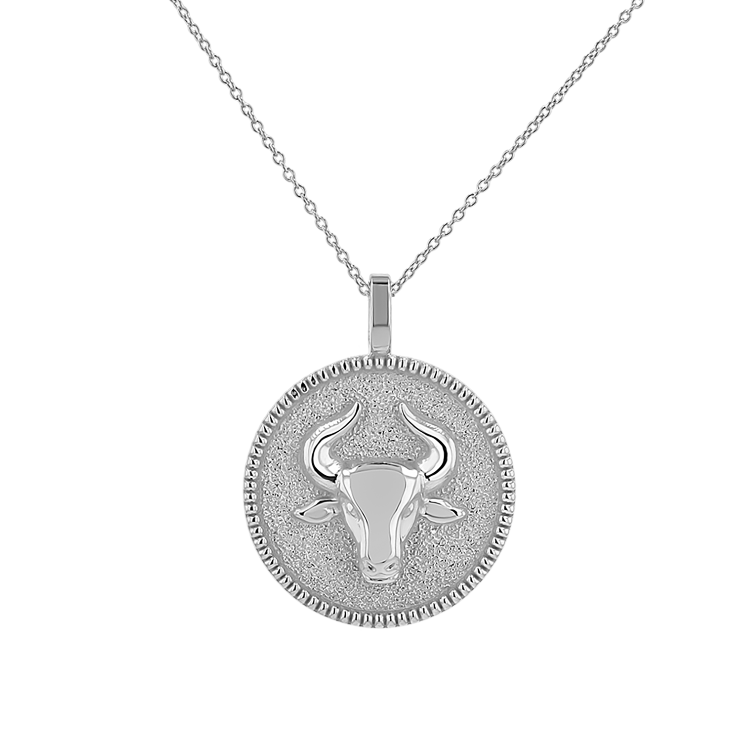 Zodiac Coin Medallion Necklace