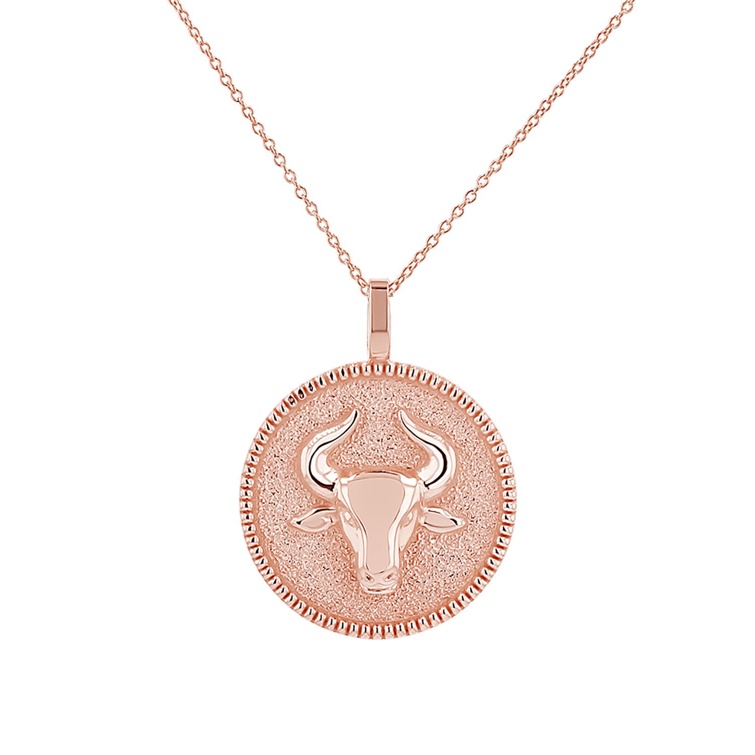 Zodiac Coin Medallion Necklace