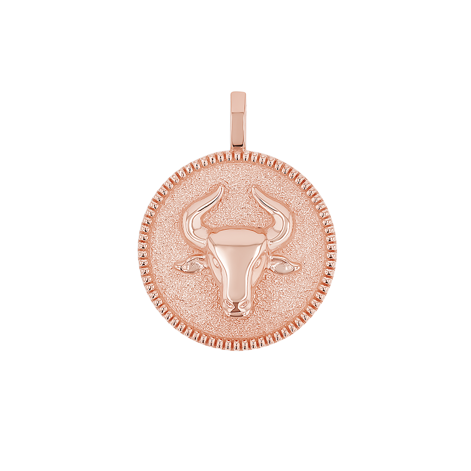Zodiac Coin Medallion Charm