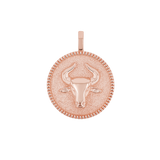 Zodiac Coin Medallion Charm