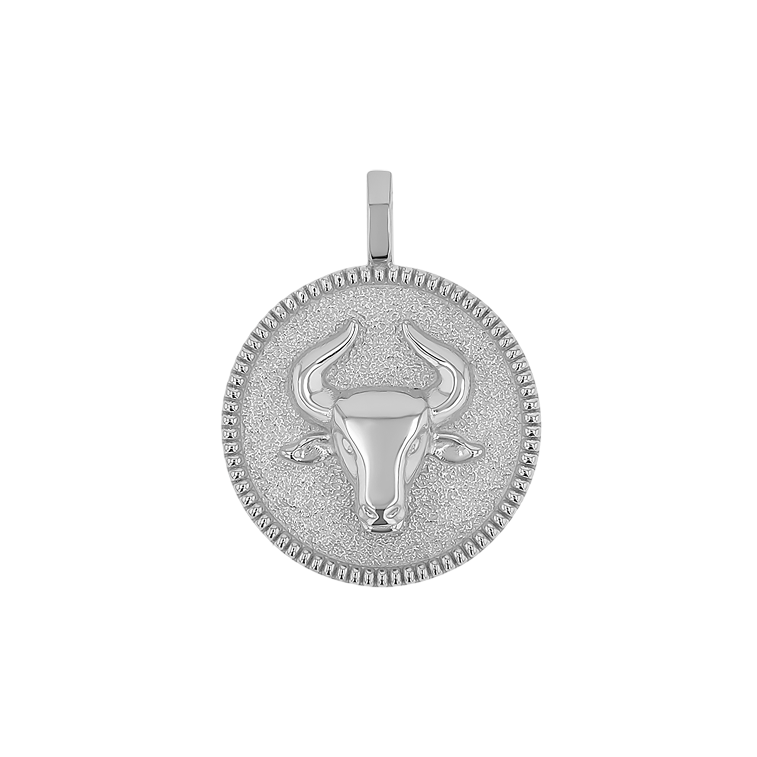 Zodiac Coin Medallion Charm