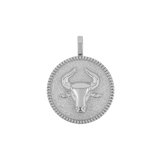Zodiac Coin Medallion Charm