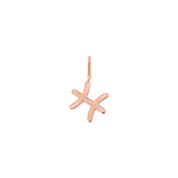 Zodiac Charm
