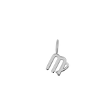 Zodiac Charm