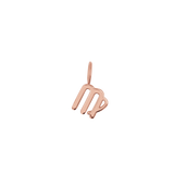 Zodiac Charm