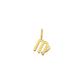 Zodiac Charm