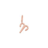 Zodiac Charm