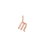 Zodiac Charm